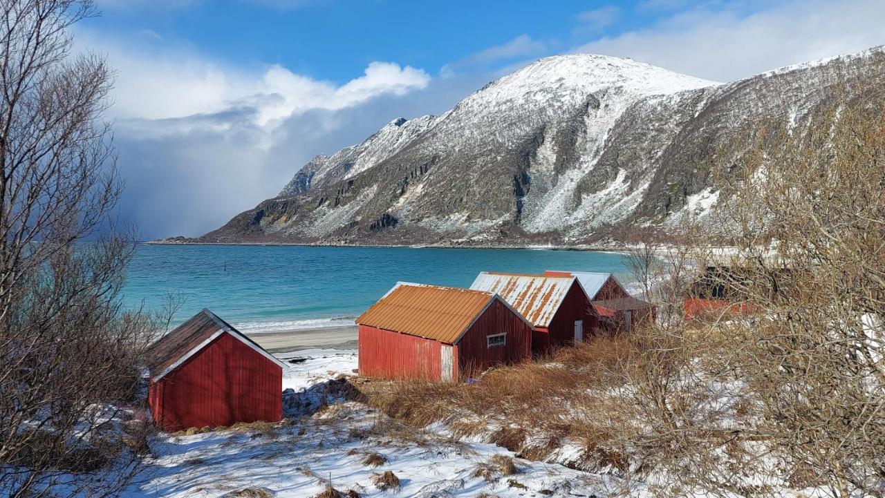 Holiday Home On Senja Senjahopen Extérieur photo