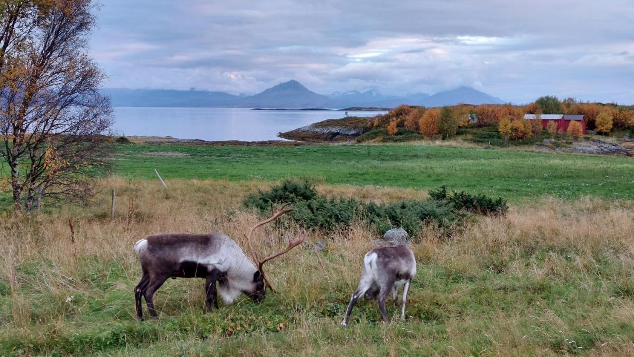 Holiday Home On Senja Senjahopen Extérieur photo